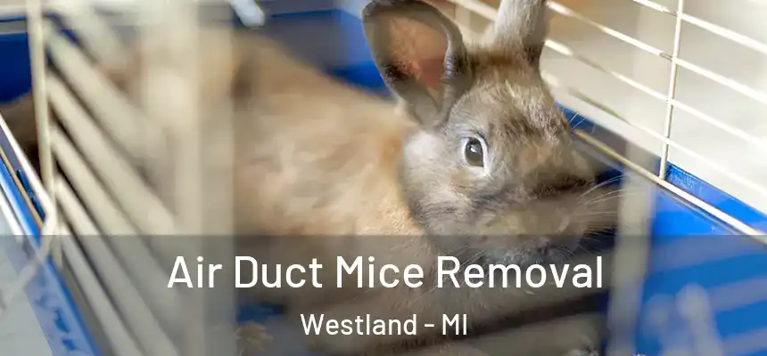 Air Duct Mice Removal Westland - MI