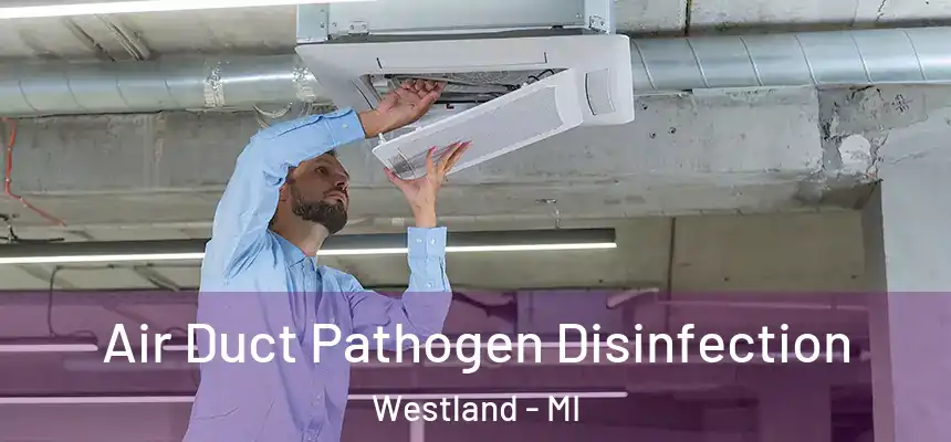 Air Duct Pathogen Disinfection Westland - MI