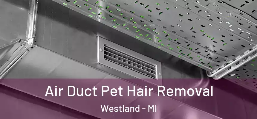 Air Duct Pet Hair Removal Westland - MI