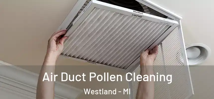 Air Duct Pollen Cleaning Westland - MI