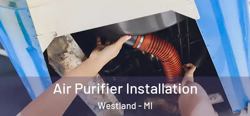  Air Purifier Installation Westland - MI