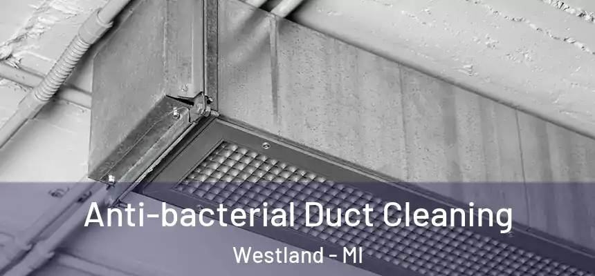 Anti-bacterial Duct Cleaning Westland - MI