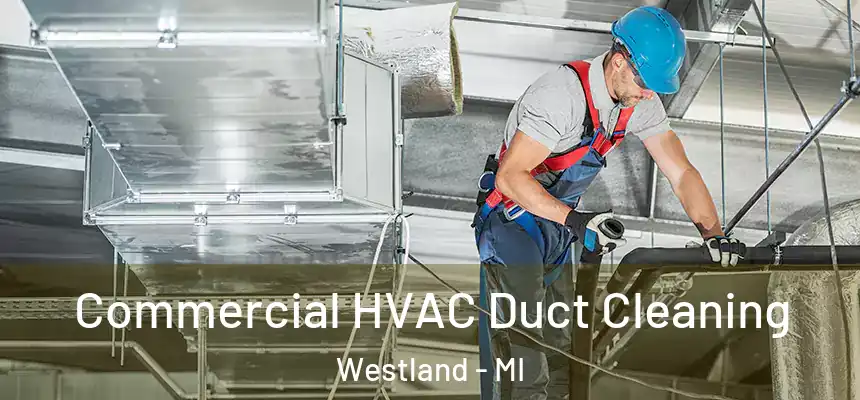 Commercial HVAC Duct Cleaning Westland - MI