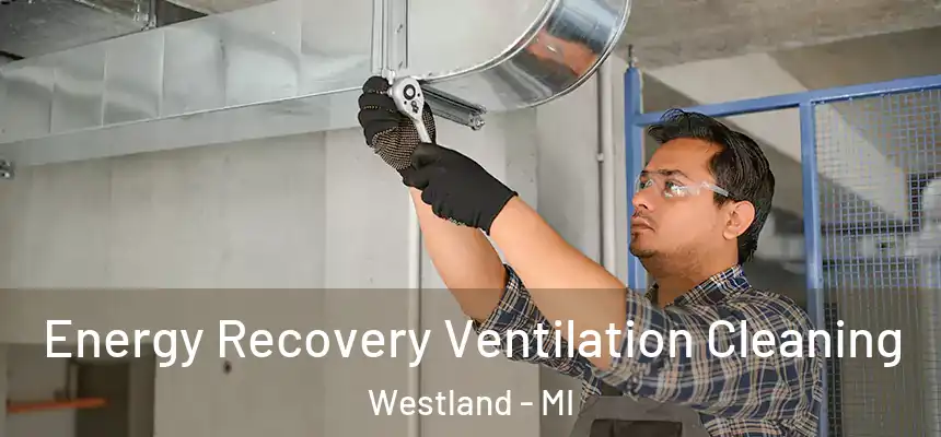 Energy Recovery Ventilation Cleaning Westland - MI