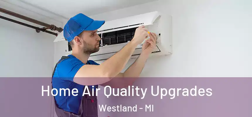 Home Air Quality Upgrades Westland - MI