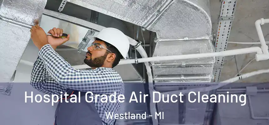 Hospital Grade Air Duct Cleaning Westland - MI