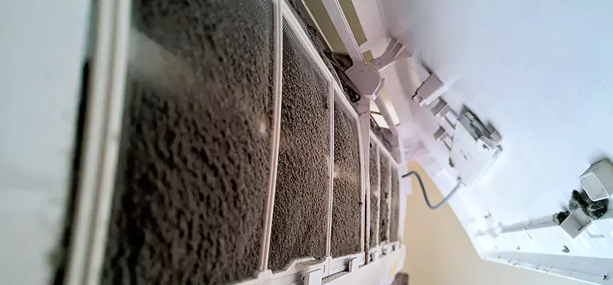 Preventive Air Duct Bacteria Removal in Westland