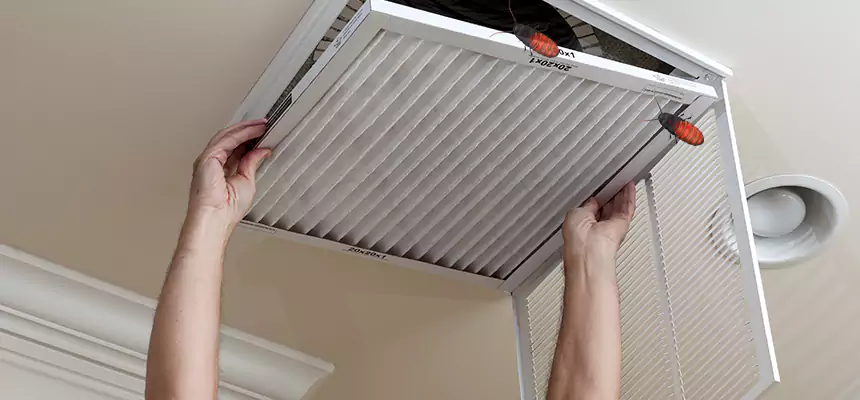 Preventive Cockroach-Proofing for Ducts in Westland