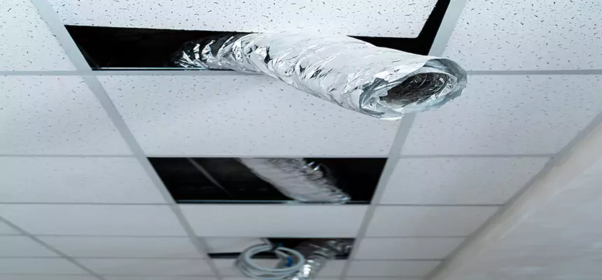 Our Air Duct Pet Hair Removal Services in Westland, MI