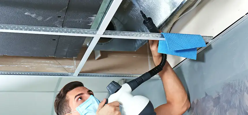 Our Air Duct Rodent Removal Services in Westland, MI