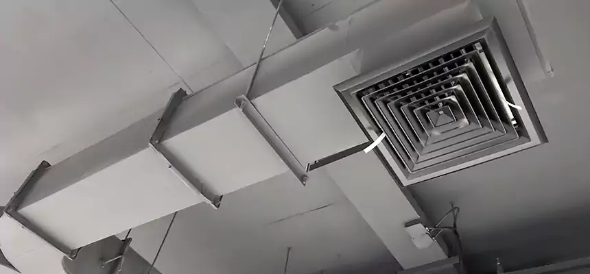 Restorative Allergy Relief Vent Cleaning – Coil, Blower & Housing Detail in Westland