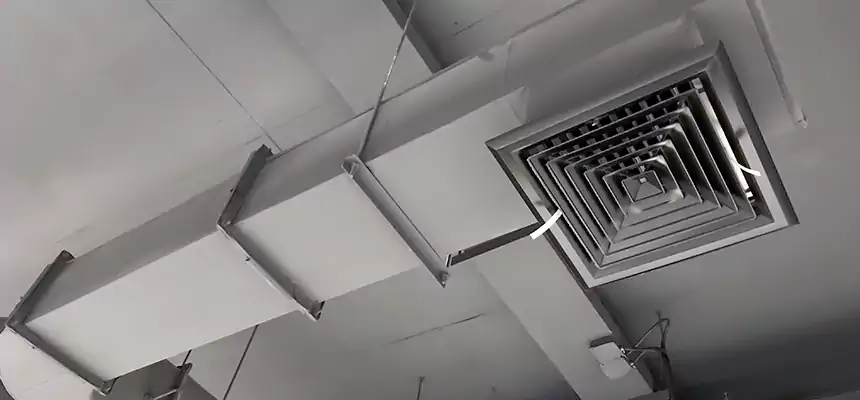 Our Pest Removal From Ducts Services in Westland, MI