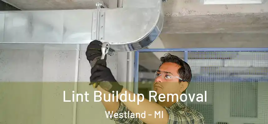 Lint Buildup Removal Westland - MI