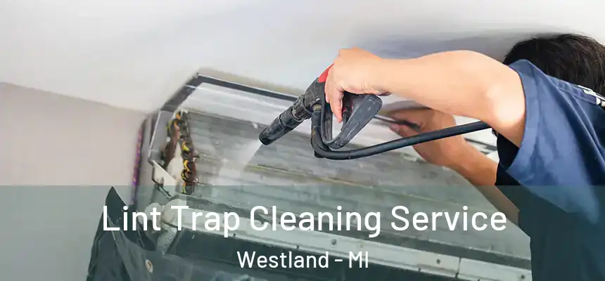 Lint Trap Cleaning Service Westland - MI