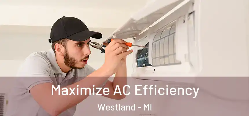 Maximize AC Efficiency Westland - MI