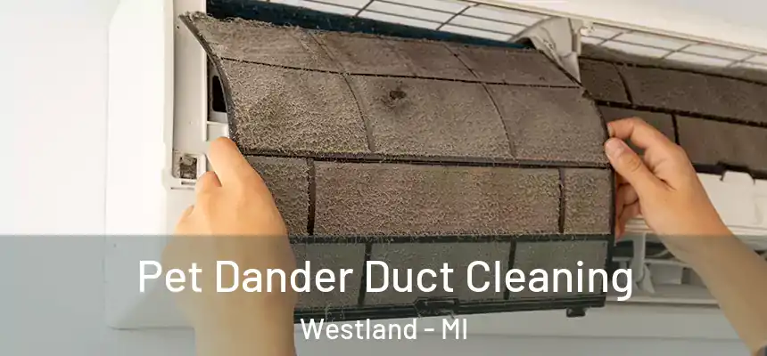 Pet Dander Duct Cleaning Westland - MI