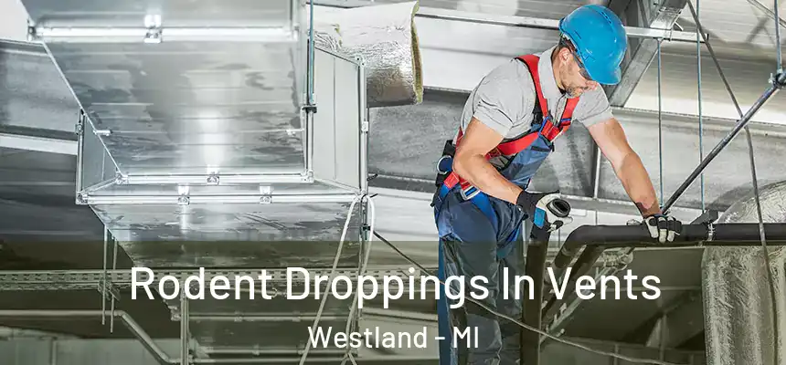  Rodent Droppings In Vents Westland - MI