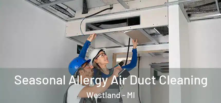 Seasonal Allergy Air Duct Cleaning Westland - MI