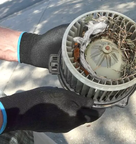 About Air Duct Mice Removal in Westland, MI