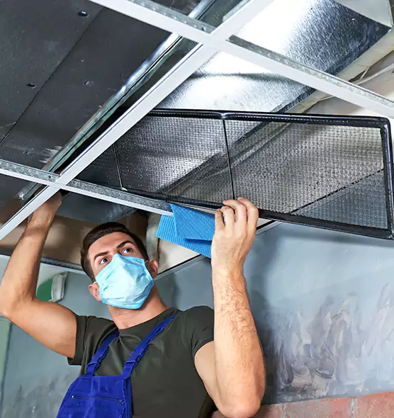 Professional Air Duct Pollen Cleaning in Westland, MI