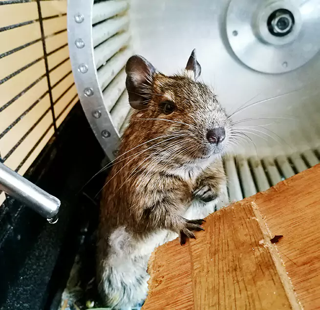 Why Homeowners & Businesses Trust Us Westland, MI