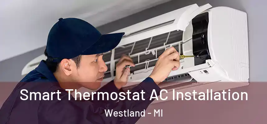  Smart Thermostat AC Installation Westland - MI