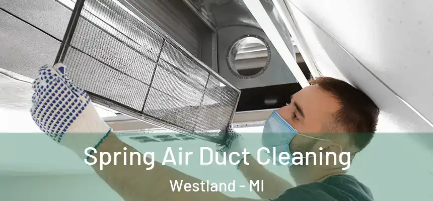 Spring Air Duct Cleaning Westland - MI