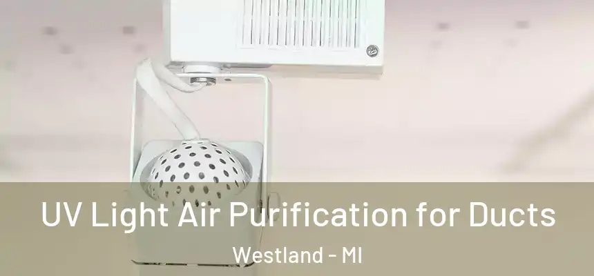 UV Light Air Purification for Ducts Westland - MI