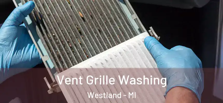 Vent Grille Washing Westland - MI