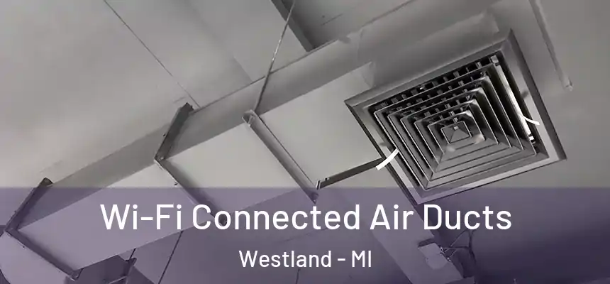 Wi-Fi Connected Air Ducts Westland - MI